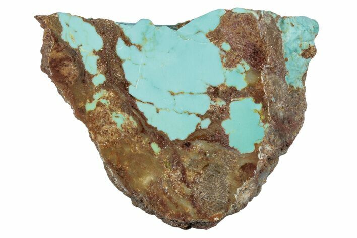 Polished Turquoise Slab - Number Mine, Carlin, NV #292317